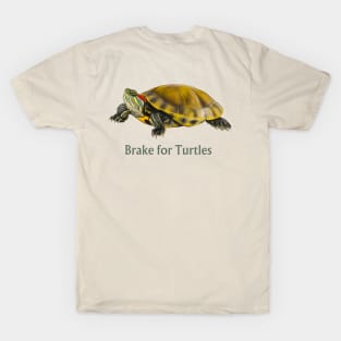 Turtle T-Shirt